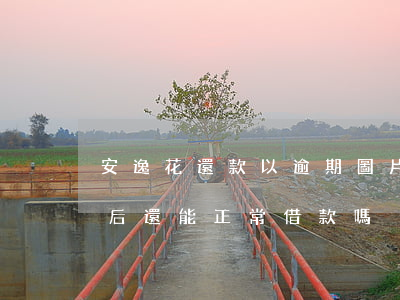 安逸花還款以逾期圖片(安逸花逾期3天還款后還能正常借款嗎)