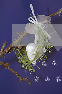 安逸花還款后額度為什么沒恢復(fù)-安逸花還款后額度為什么沒恢復(fù)正常