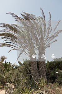 安逸花還款日之后還款幾點(diǎn)出賬單-安逸花還款日之后還款幾點(diǎn)出賬單啊