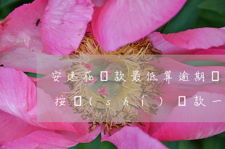 安逸花還款最低算逾期嗎(安逸花只要不逾期,按時(shí)還款一般就沒事吧)