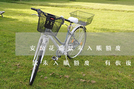 安逸花還款未入賬額度沒有恢復-安逸花還款未入賬額度沒有恢復怎么辦