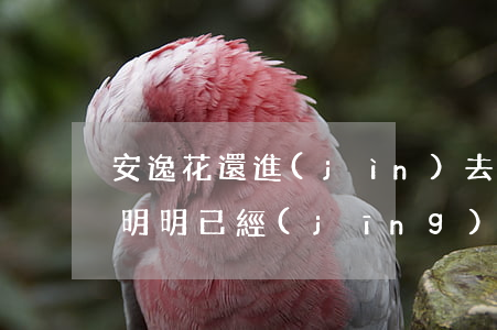 安逸花還進(jìn)去變欠更多了(安逸花明明已經(jīng)還款了為什么還越還欠款越多)