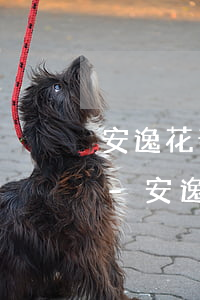 安逸花部分還款優(yōu)先扣除本金么-安逸花部分還款優(yōu)先扣除本金么