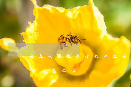 安逸花骚扰有什么办法（安逸花逾期频繁骚扰家人怎么办）