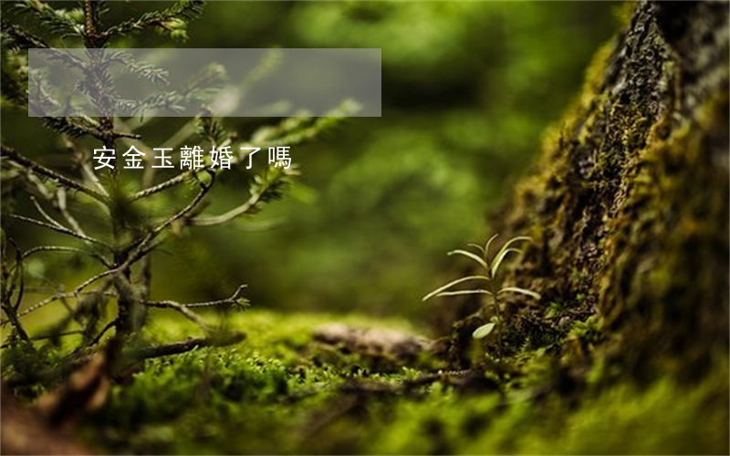 安金玉離婚了嗎