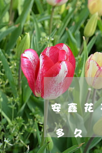 安鑫花不還會(huì)怎么樣（安鑫花逾期多久會(huì)起訴）