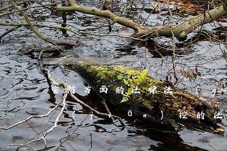 安防方面的法律法規(guī)(關于安防監(jiān)控的法律法規(guī))
