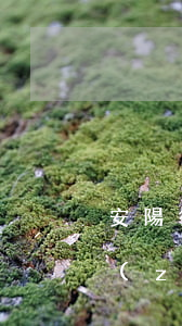 安陽律師收費(fèi)標(biāo)準(zhǔn)(安陽律師收費(fèi)標(biāo)準(zhǔn))
