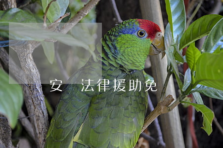 安陽法律援助免費
