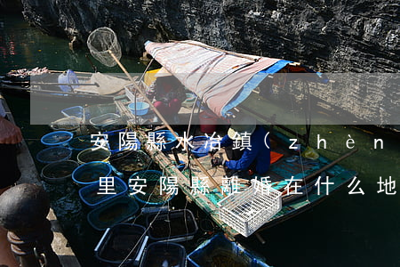 安陽縣水冶鎮(zhèn)離婚的地方在哪里(安陽縣離婚在什么地方)