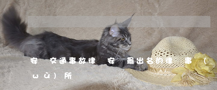 安順交通事故律師(安順最出名的律師事務(wù)所)