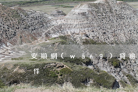 安順網(wǎng)貸逾期停息掛賬申請條件