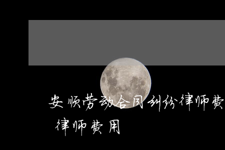 安顺劳动合同纠纷律师费多少钱(打劳动纠纷律师费用)