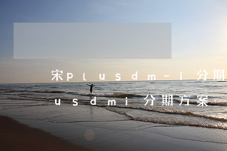 宋plusdm-i分期免息政策-宋plusdmi分期方案