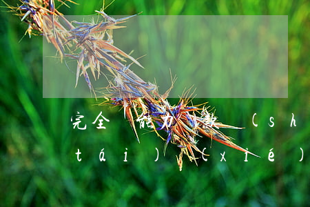 完全無能力還款時(shí)怎樣和平臺(tái)協(xié)商-無能力還款怎么辦