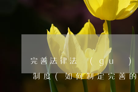 完善法律法規(guī)和規(guī)章制度(如何制定完善的規(guī)章制度)