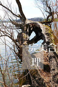 完美合同律師怎么處理(完美合同律師怎么處理)
