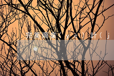 完美商業(yè)計(jì)劃書全攻略