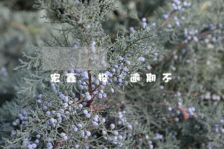 宏鑫寶投資逾期不還