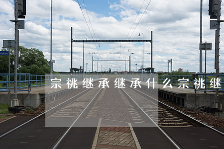 宗祧继承继承什么(宗祧继承制)