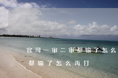 官司一审二审都输了怎么再打(官司一审二审都输了怎么再打)