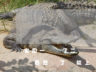官司一審贏了二審卻輸了怎么辦(一審贏了二審竟然輸了還能上訴嗎)