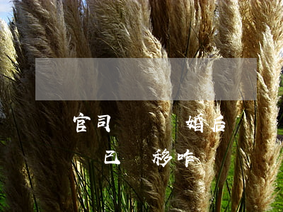 官司勝訴離婚后財產轉移(離婚訴訟前對方財產已轉移咋辦)