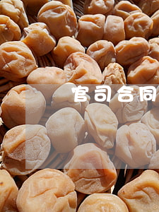 官司合同糾紛一審(合同糾紛一審敗訴后二審)