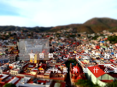 官司執(zhí)行中是什么意思(執(zhí)行案件是什么意思)