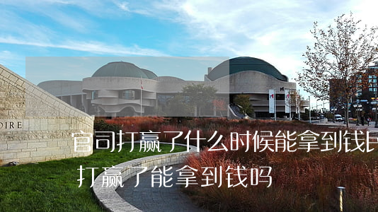 官司打赢了什么时候能拿到钱(民事诉讼官司打赢了能拿到钱吗)