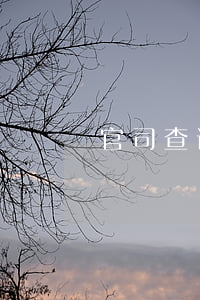 官司查询网站(官司进度查询)