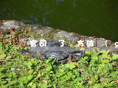 官司贏了對方破產(chǎn)了怎么辦