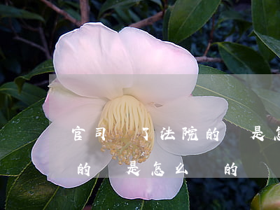 官司贏了法院的錢是怎么給的(官司贏了法院的錢是怎么給的)