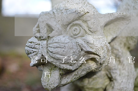 官司輸了怎么給對方錢(官司輸了怎么主動給對方錢)