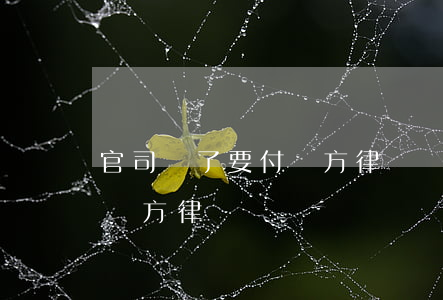 官司輸了要付對方律師費嗎(打官司輸了要給對方律師費嗎)