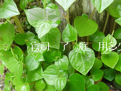 官司輸了開庭費用多少錢(法院開庭要交多少錢)