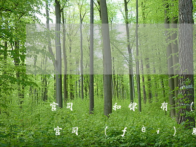 官司輸贏和律師有關(guān)嗎(律師的官司費(fèi)用贏或輸一樣嗎)