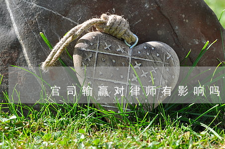 官司输赢对律师有影响吗(律师打官司输了)