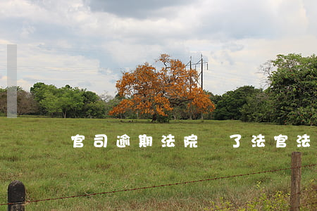 官司逾期法院換了法官(法院突然給我換法官)