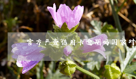 官方严查信用卡逾期吗(国家对信用卡的管控)