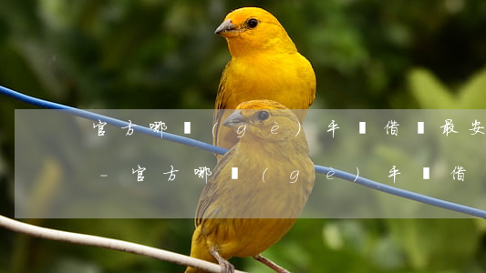 官方哪個(gè)平臺借錢最安全利息最低-官方哪個(gè)平臺借錢最安全利息最低的