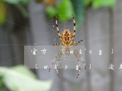 官方網(wǎng)貸逾期處理方案(官方網(wǎng)貸逾期處理方案)