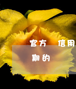 官方談信用卡逾期怎么處理(有處理信用卡逾期的嗎)