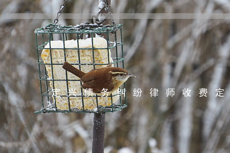 定兴债务纠纷律师收费 定兴律师电话号码