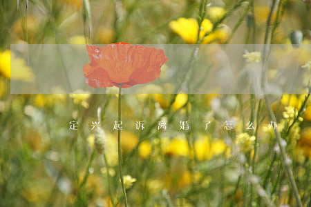 定兴起诉离婚了怎么办