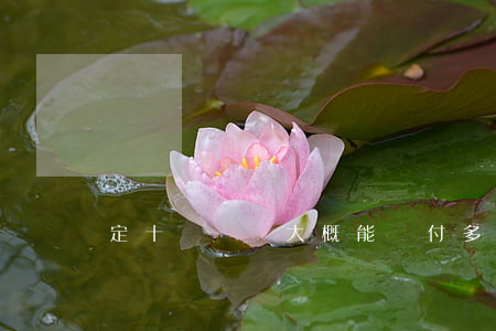 定十級傷殘大概能賠付多少錢