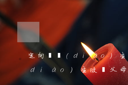 定向選調(diào)生政審父母嗎(選調(diào)生政審父母要求)