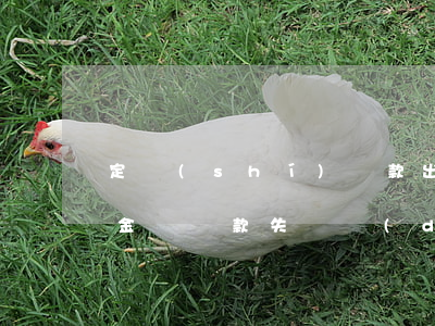 定時(shí)還款出現(xiàn)逾期金額(還款失敗導(dǎo)致逾期)