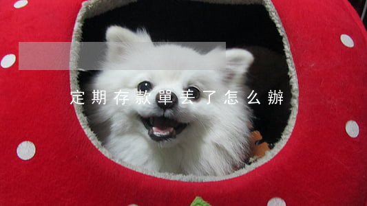 定期存款單丟了怎么辦