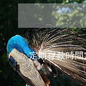 定期存款時間(定期存款時間越長越好嗎)